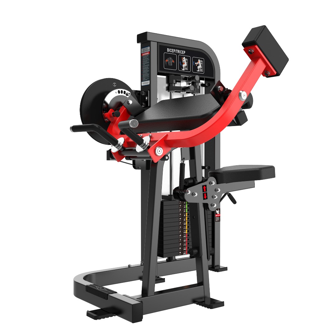 Biceps Curl