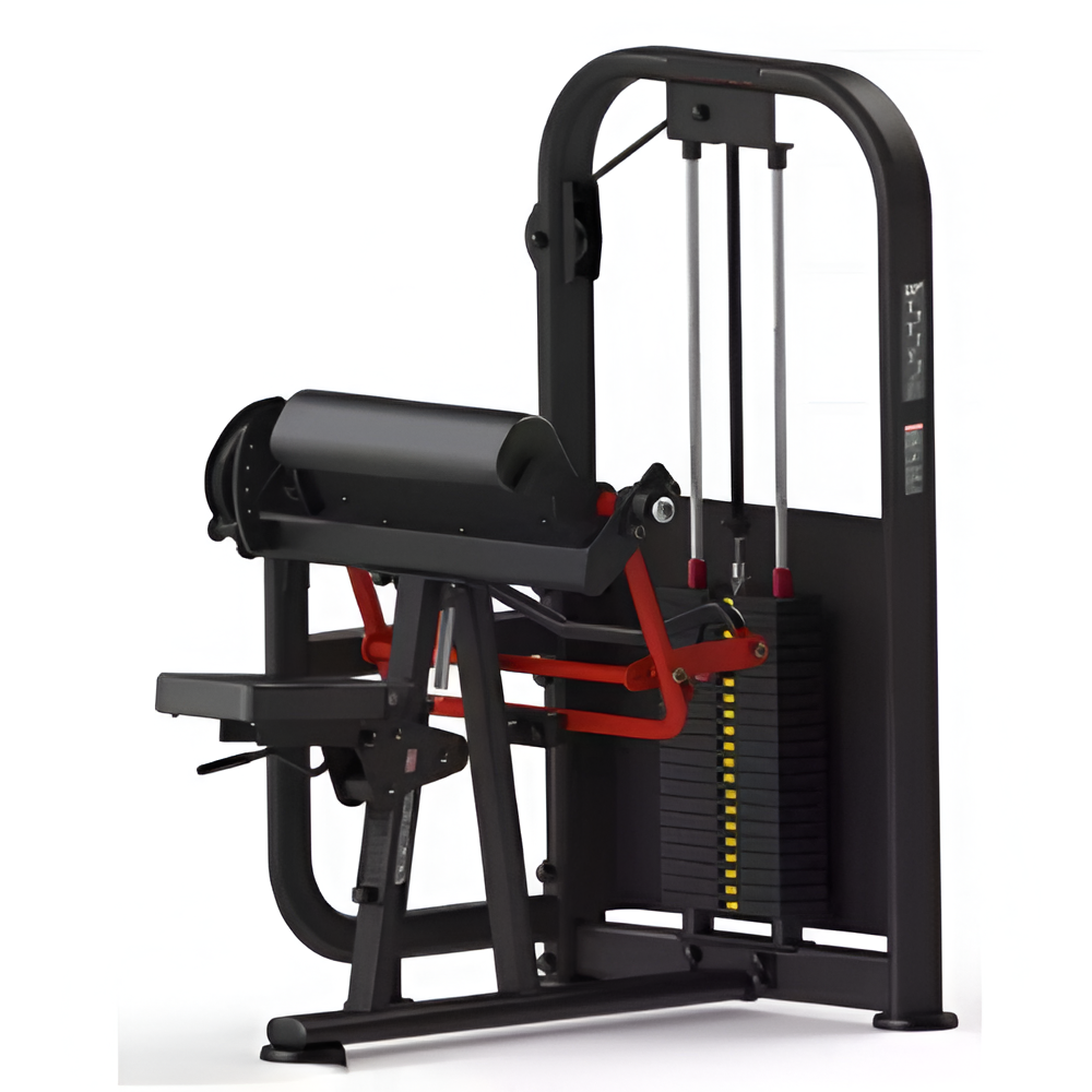 Seated 5 Angles Arm Curl (M005), Iron Strength - Powered by Emma Fitness